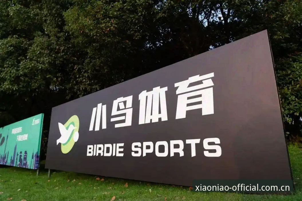 小鸟体育APP下载功能详解：从入口到数据的完整链路